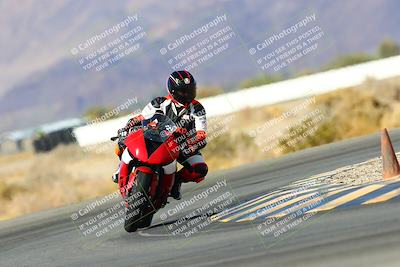 media/Feb-12-2022-SoCal Trackdays (Sat) [[3b21b94a56]]/Turn 4 (10am)/